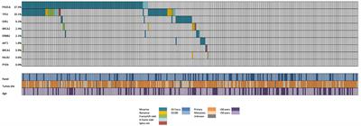 The somatic mutation profile of estrogen receptor-positive HER2-negative metastatic breast cancer in Brazilian patients